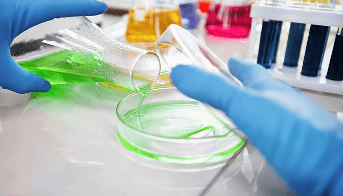 Поиск Listeria monocytogenes и Listeria spp.
