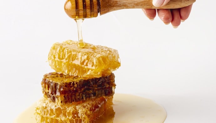 꿀의 수분 측정