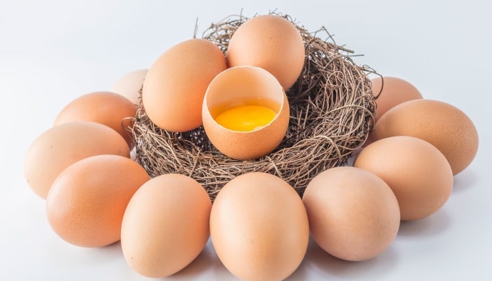 Qidada Dioksin Testi